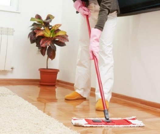 Apartment Cleaning Services