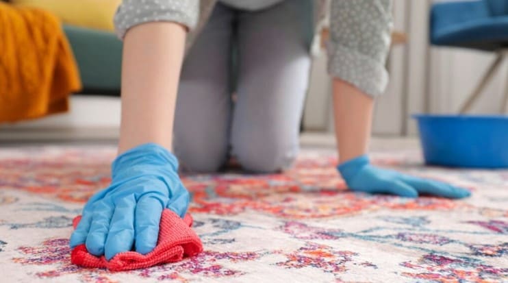 LIVING ROOM CLEANING